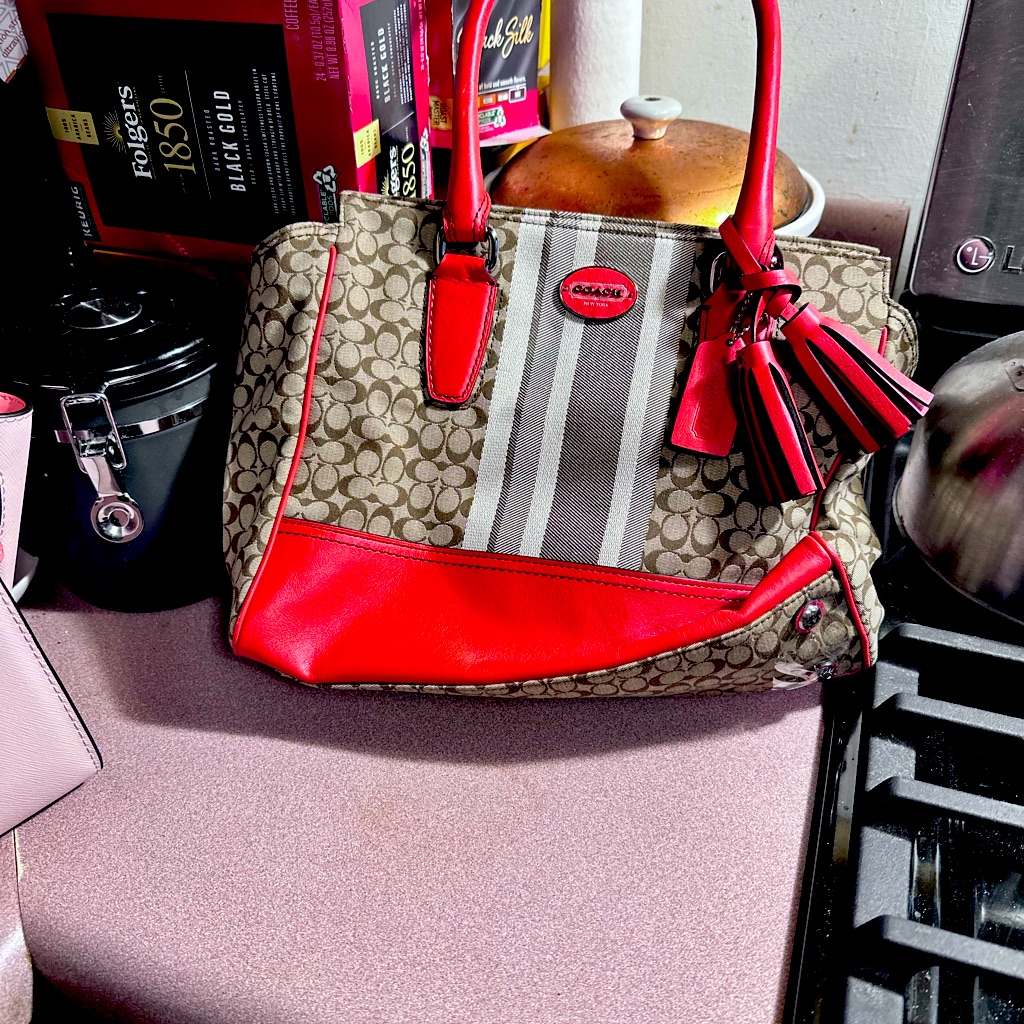 Coach Hand Held Bag Used But In Good Condition No Stains At All No Damage